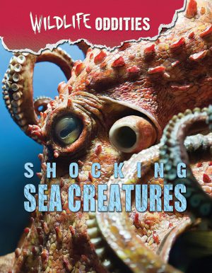 Shocking Sea Creatures