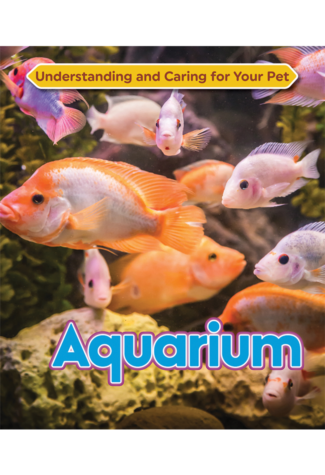 Aquarium.png