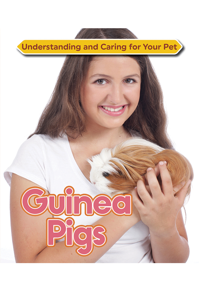 Guinea-Pigs.png