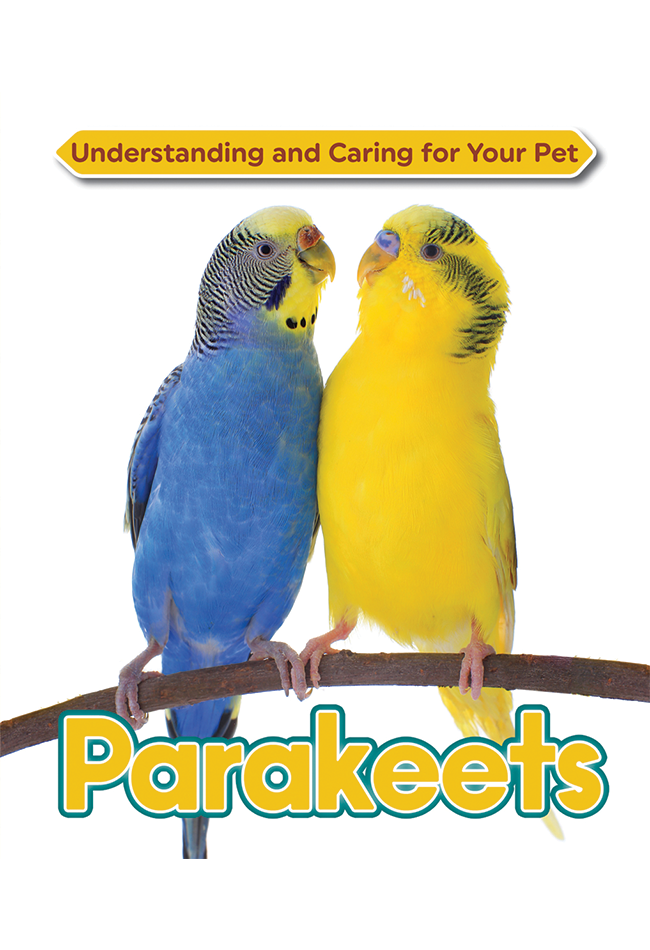 Parakeets.png