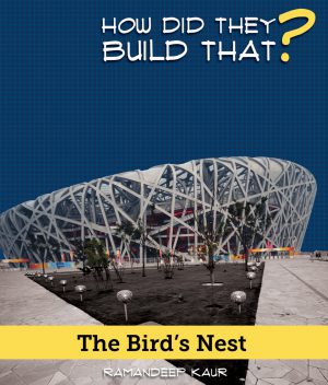 How Did They Build That?: The Bird's Nest