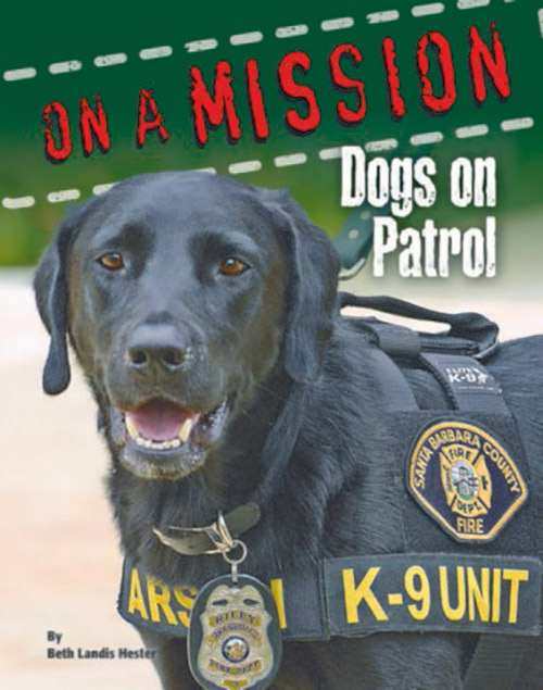 On-Mission-Dogs.jpg