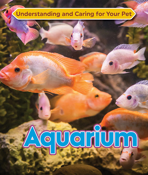 Understanding-and-Caring-for-Your-Pet-Aquarium.jpg