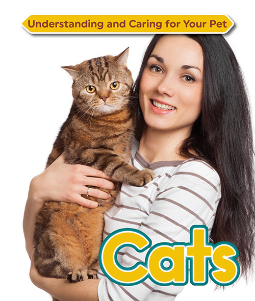 Understanding-and-Caring-for-Your-Pet-Cats.jpg