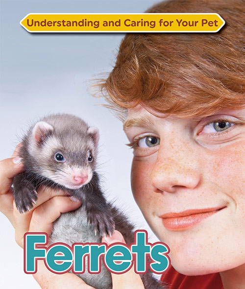 Understanding-and-Caring-for-Your-Pet-Ferrets.jpg