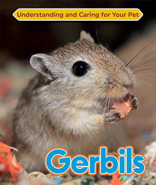 Understanding-and-Caring-for-Your-Pet-Gerbils.jpg