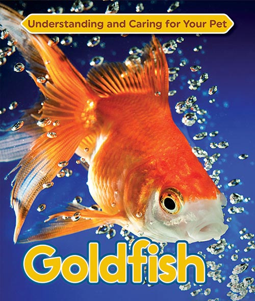 Understanding-and-Caring-for-Your-Pet-Goldfish.jpg