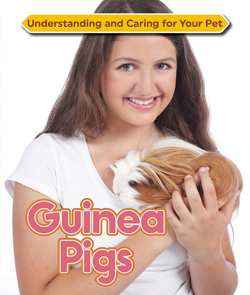 Understanding-and-Caring-for-Your-Pet-Guinea-Pigs.jpg