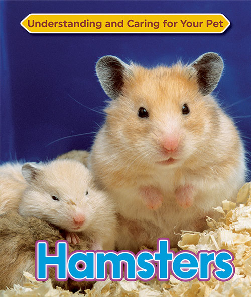 Understanding-and-Caring-for-Your-Pet-Hamsters.jpg