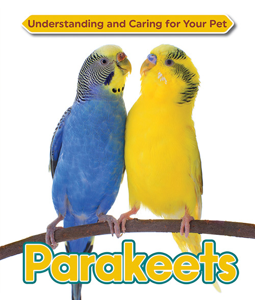 Understanding-and-Caring-for-Your-Pet-Parakeets.jpg